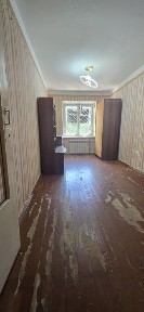 кора камиш 1/1 Пракратура