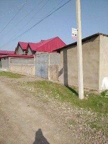 Ташкентская область, Нурафшан (Тойтепа)