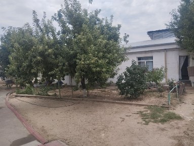 Ташкентская область, Ташкент, Алмазарский район