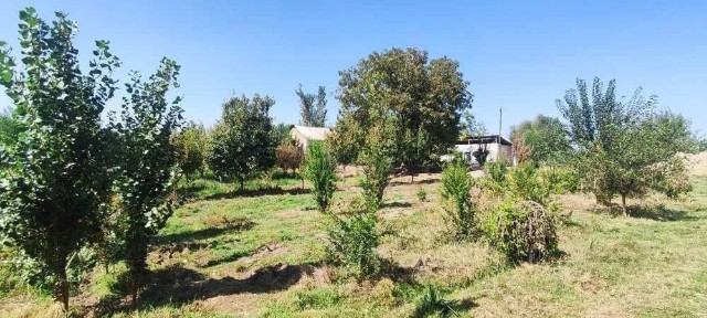 Ташкентская область, Уртааул