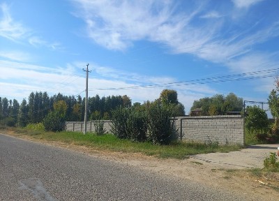 Ташкентская область, Янгиюль
