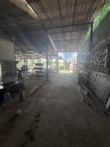 Seh arendaga beriladi