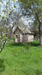 Ташкентская область, Ангрен