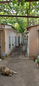 Ташкентская область, Мирабад