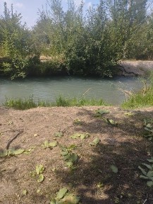 Кадастери бор келишамиз