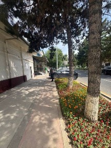 Ташкентская область, Ташкент, Юнусабадский район