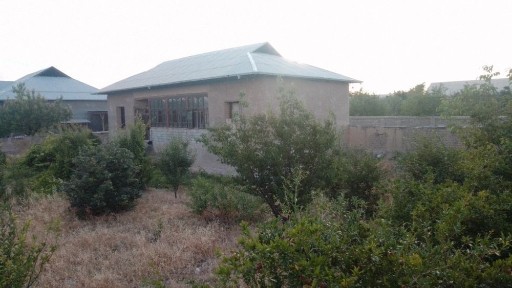 Hovli srochna sotiladi 11 sotix