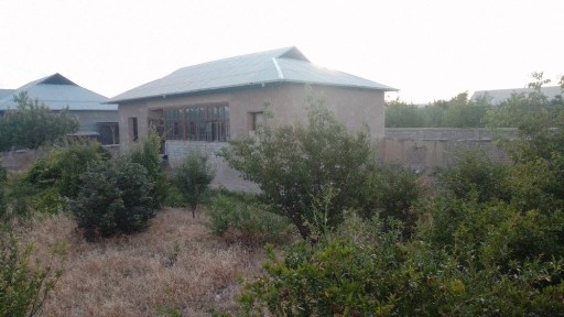 Hovli srochna sotiladi 11 sotix