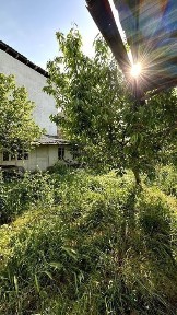 Дом в аренду | Метро Бодомзор | Юнусабад | Ташкент