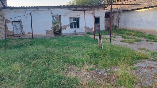 Ташкентская область, Нурафшан (Тойтепа)