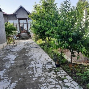 Ховли сотилади 6 сотих Бордонкул Шафоат куча 43