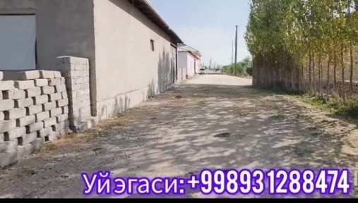 Ташкентская область, Нурафшан (Тойтепа)