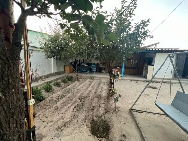 Ташкентская область, Зангиата