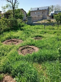 Ташкентская область, Эшангузар