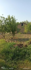 Ташкентская область, Кибрай