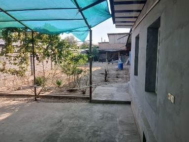 Toshkent tumani ko'k saroyda 5 sotixli xovli sotiladi