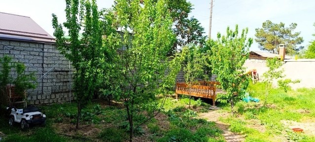 Кирпичный дом и участок