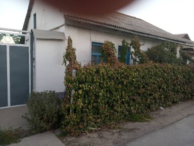 Продается Дом в Чиназском районе (Эски Ташкент (Пахта) )