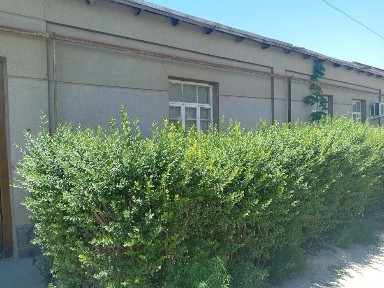 Продаётся дом с участком.