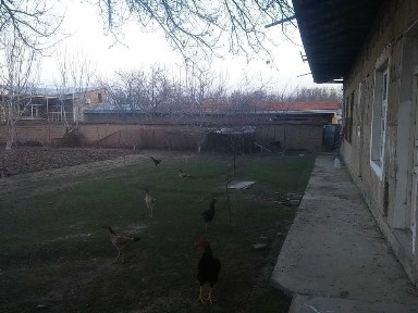 Ташкентская область, Ташкент, Юнусабадский район