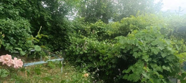 Чарвак дача участок 6,5 соток в центре Чарвака кадастра, дом бассейн