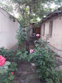 САРАКУЛЬСКАЯ (Электросеть, Хавас) ! Дешёвая цена! Срочная продажа!