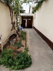 Shahar markazidan hovli sotiladi