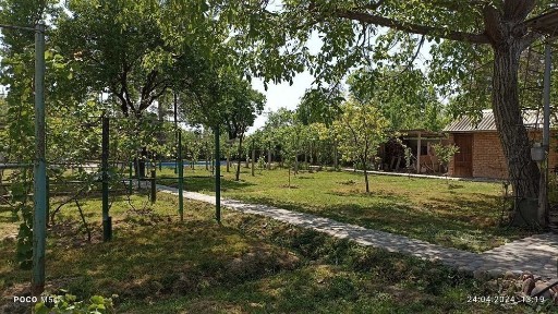 Ташкентская область, Эшангузар