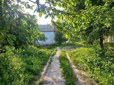 Ташкентская область, Ташкент, Мирзо-Улугбекский район