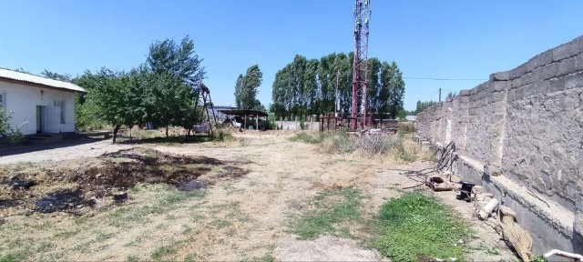 Ташкентская область, Нурафшан (Тойтепа)
