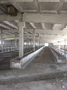 Ташкентская область, Нурафшан (Тойтепа)