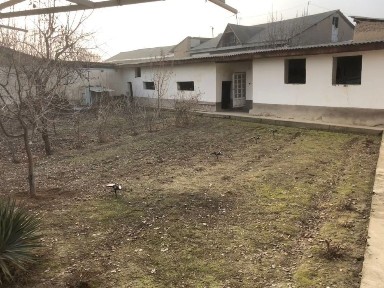 Ташкентская область, Янгиюль