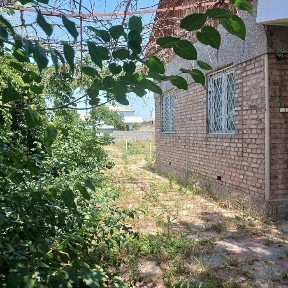 Участка 8 сотка, Участок ИПОТЕКА оркали, ориентир Янги Узбекис Уй хо