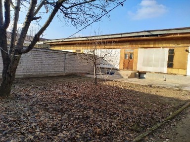 Yunusobod 19 kv roparasida Tutzor mahallada. 1-liniya!