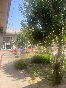 Ташкентская область, Ташкент, Шайхантахурский район