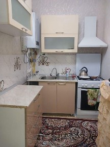 Toshkent airapoertga yaqin joydan 2 xonalik havli ijaraga beriladi.