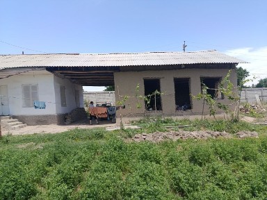 Ташкентская область, Ташморе