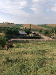 Ташкентская область, Паркент