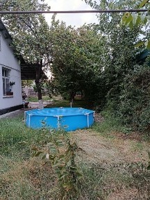 Ташкентская область, Кибрай