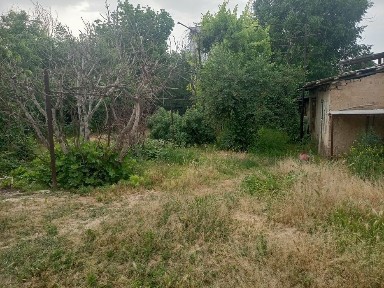 Ташкентская область, Ташкент, Мирзо-Улугбекский район