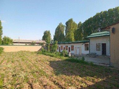 Ташкентская область, Янгиюль