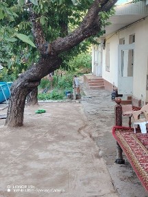 Yunusobod tumani Gvardeyiskida 13 sotxli uchastka yer xisobida sotilad