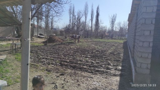 Продаётся дом с участком 12 соток