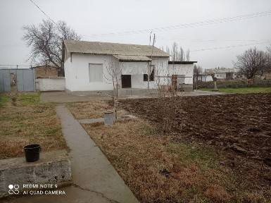 Ташкентская область, Нурафшан (Тойтепа)