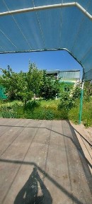 Продается дача с садом в Паркентском районе
