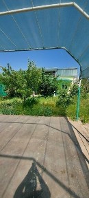 Продается дача с садом в Паркентском районе