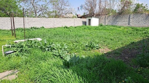 Ташкентская область, Янгибазар