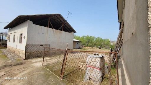 Ташкентская область, Янгиюль