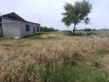 Ташкентская область, Янгибазар