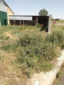 Срочно продается база 43 сотки!